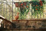 orcia,ferienhaus,siena,montepulciano,ferien,flug,hotel,individualreise,italien,kalabrien,pauschalreise,reise,reisen,stromboli,s�ditalien,sueditalien,tropea,unterkunft,urlaub